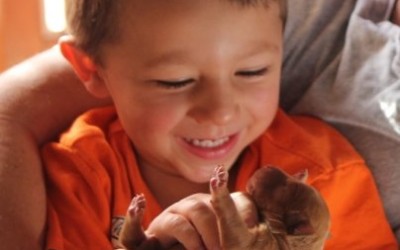 It Was a Good Christmas!