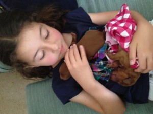 The_girls_made_puppy_blankets_for_the_babies