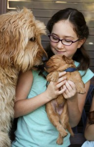 Violet, Buddy and Willow_n