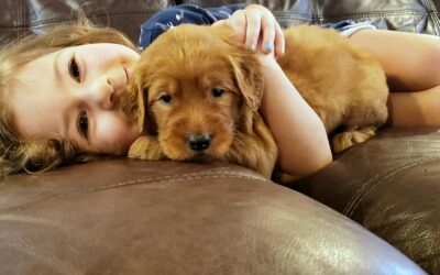 The Doodles in Our Lives…