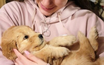 10 Tips To Prep for a New Goldendoodle Puppy