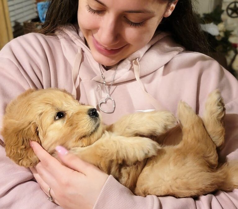 10 Tips To Prep for a New Goldendoodle Puppy