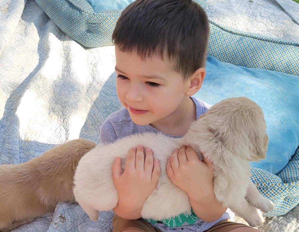 Children and Goldendoodle Puppies