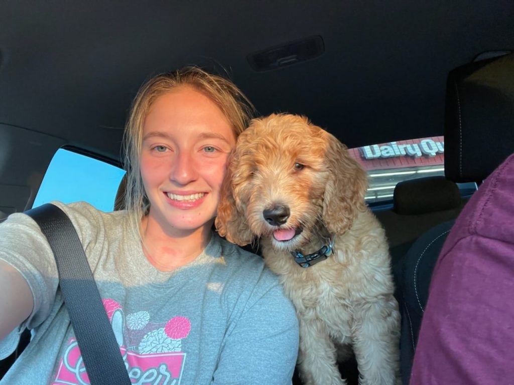 Teddy, an F1b apricot goldendoodle puppy in Houston, Tx