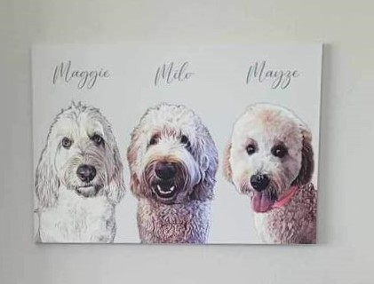 Goldendoodle Art