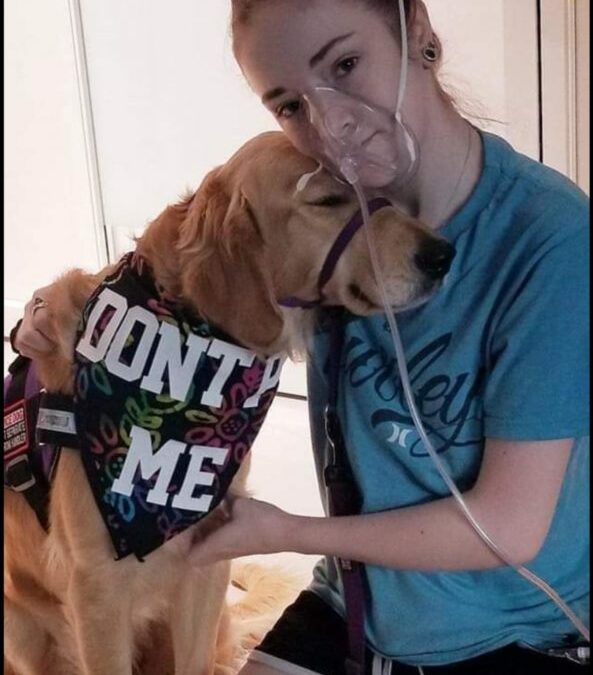 Appreciation of Service Dogs