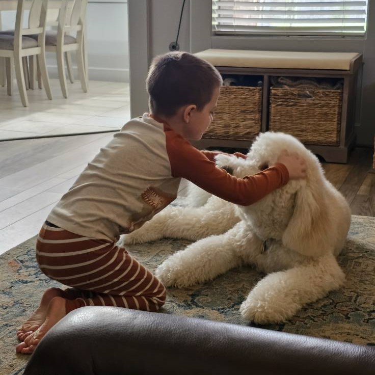 goldendoodles with kids
