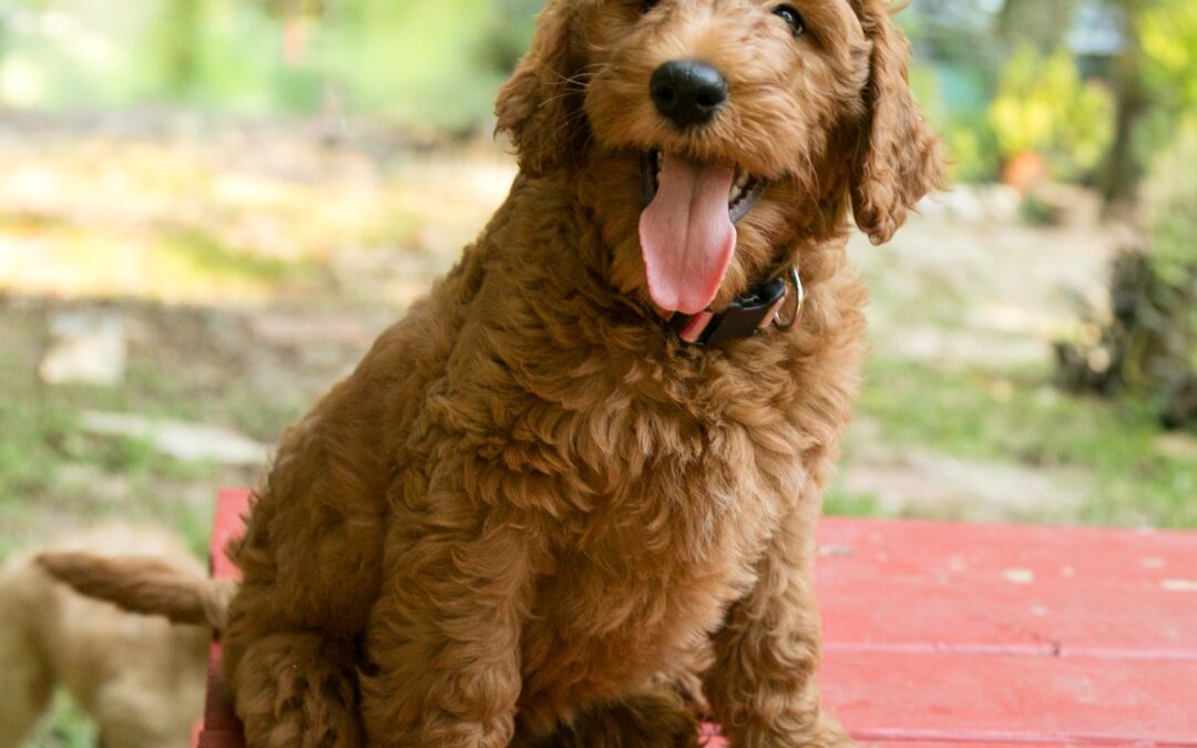 Winnie