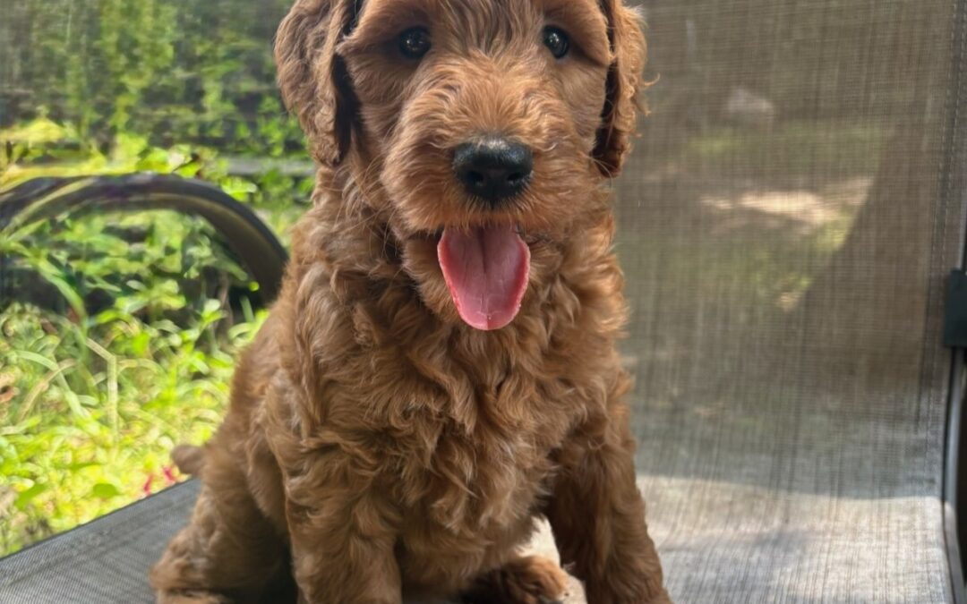 Winnie
