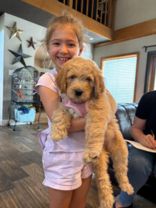 Goldendoodle puppies love kids