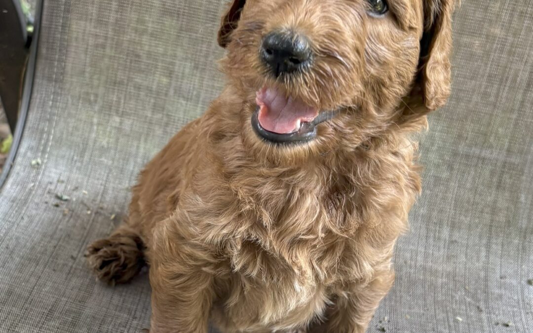 Winnie