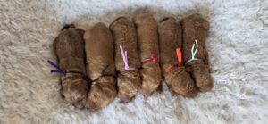 f1b Goldendoodle Puppies - 2025